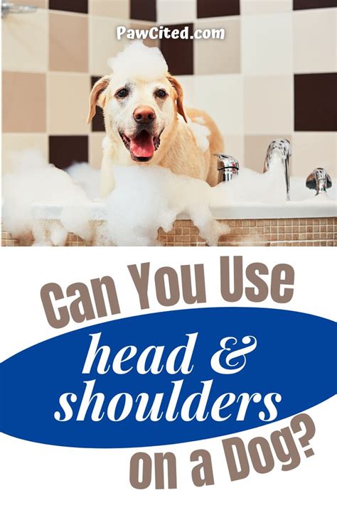 head & shoulders for dogs